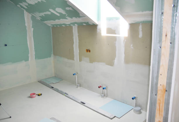 Best Commercial Mold Inspection  in Driggs, ID