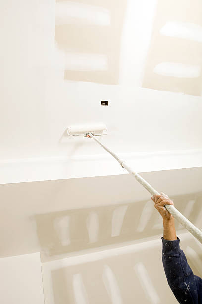 Mold Odor Removal Services in Driggs, ID