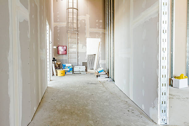 Best Attic Mold Removal  in Driggs, ID
