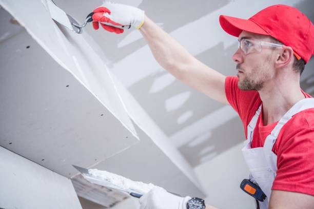 Best Black Mold Removal  in Driggs, ID